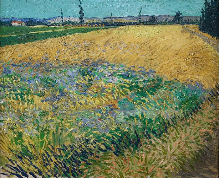 unknow artist Vincent van Gogh Wheatfield Germany oil painting art